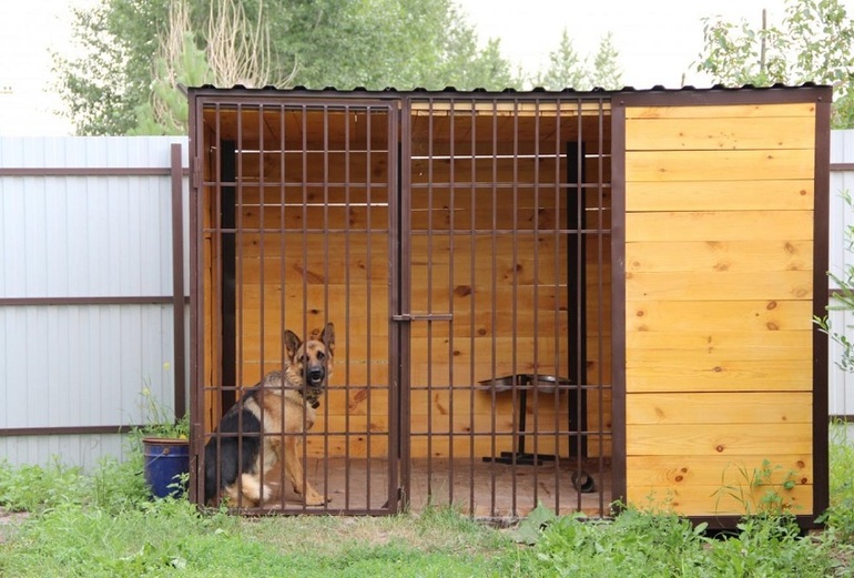 Hausgemachte Hundevogelhaus