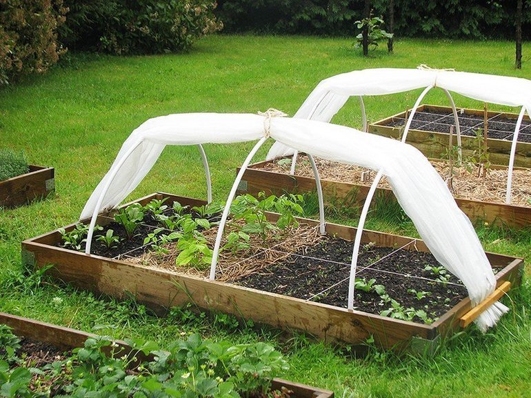  homemade greenhouses