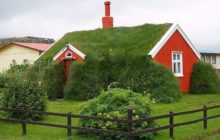 Groen dak van een privé-huis