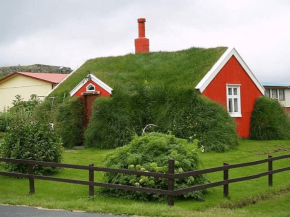 Huis met gras op het dak