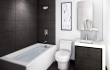 Conception de salles de bains combinées à des toilettes: idées d'intérieur