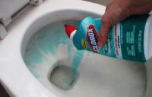 kako očistiti WC od plaka