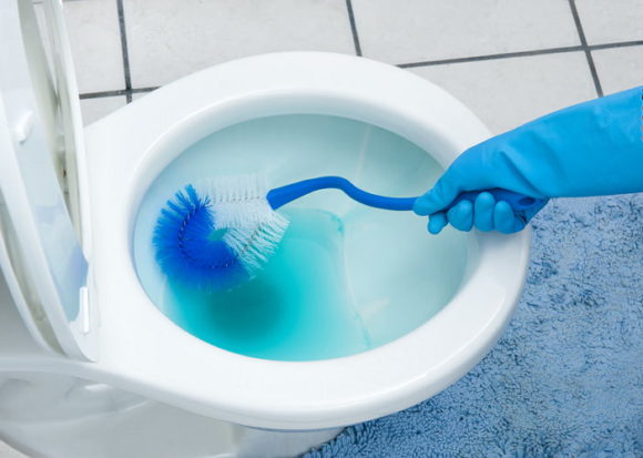 Hogyan tisztítsuk meg a WC-t a lepedékről
