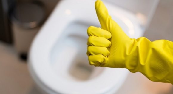 how to clean the toilet from plaque