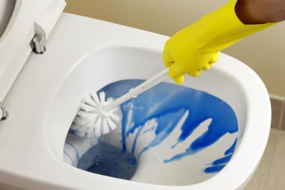 hvordan man renser toilettet fra plak