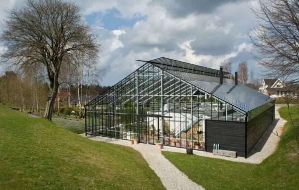 Greenhouse conditions, Germany
