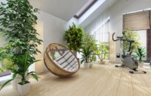 Why are plants indispensable in a home interior?