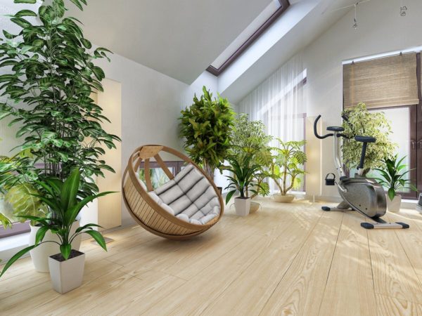 Dlaczego rośliny są niezbędne we wnętrzu domu?
